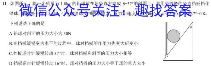 河南省2024年内黄县九年级适应性测试试卷物理试卷答案