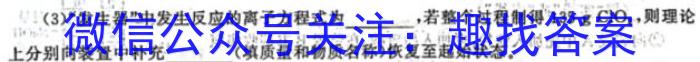 创优文化2024年陕西省普通高中学业水平合格性考试 模拟卷(二)化学