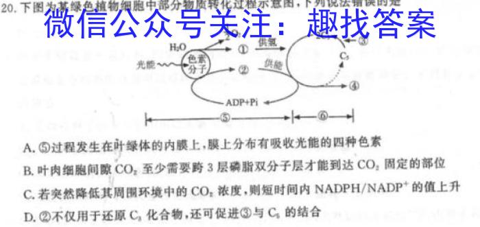 安徽省2024年中考模拟示范卷 AH(二)生物学试题答案