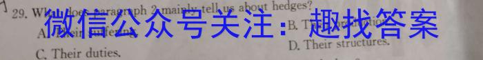 甘肃省环县一中2024届高三第七次模拟考试英语试卷答案