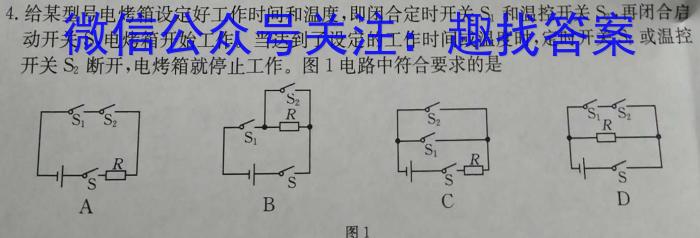 炎德英才 名校联考联合体2024年秋季高二第一次联考(暨入学检测)物理试题答案