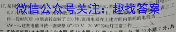 学林教育 2024年陕西省初中学业水平考试·全真模拟卷(五)5h物理