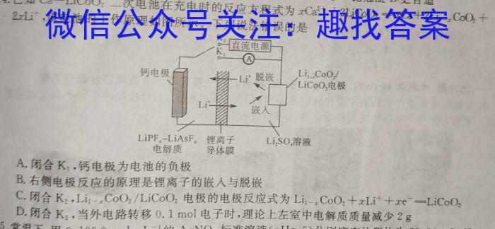 3九师联盟·2024届高三3月质量检测（X）化学试题