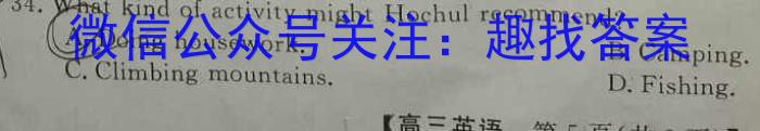 安徽省北城中学2023-2024学年八年级下学期阶段性检测英语