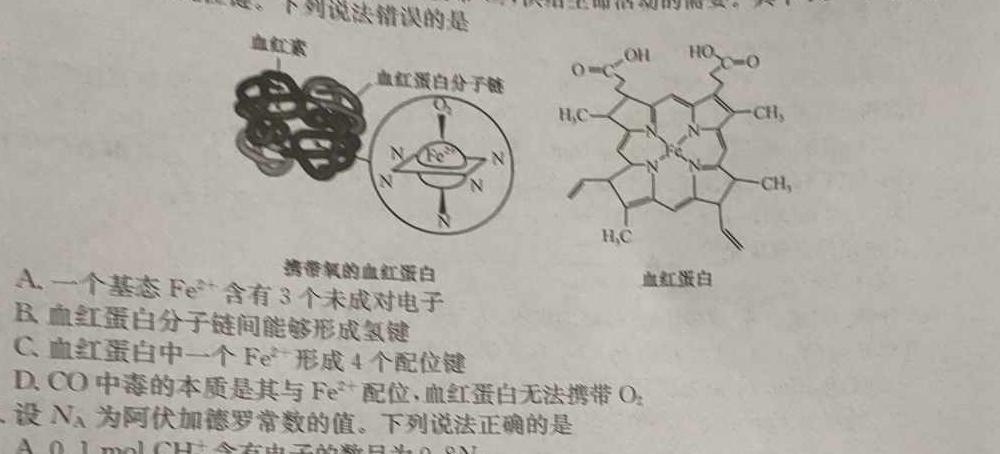 【热荐】安徽省2024年九年级教学质量检测考试化学