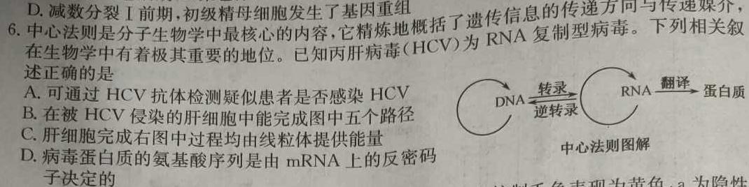 开卷文化 2024普通高等学校招生统一考试模拟卷(一)1生物学部分