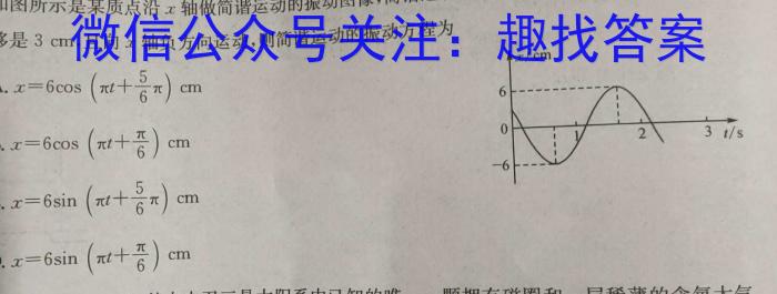 陕西省2024届九年级阶段调研检测A物理`