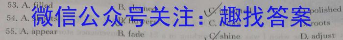 天宏大联考2024年河南省中招第一次模拟考试试卷英语