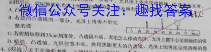 2023-2024学年（下）江西师大附中高三素养测试卷（2月入学考试）物理