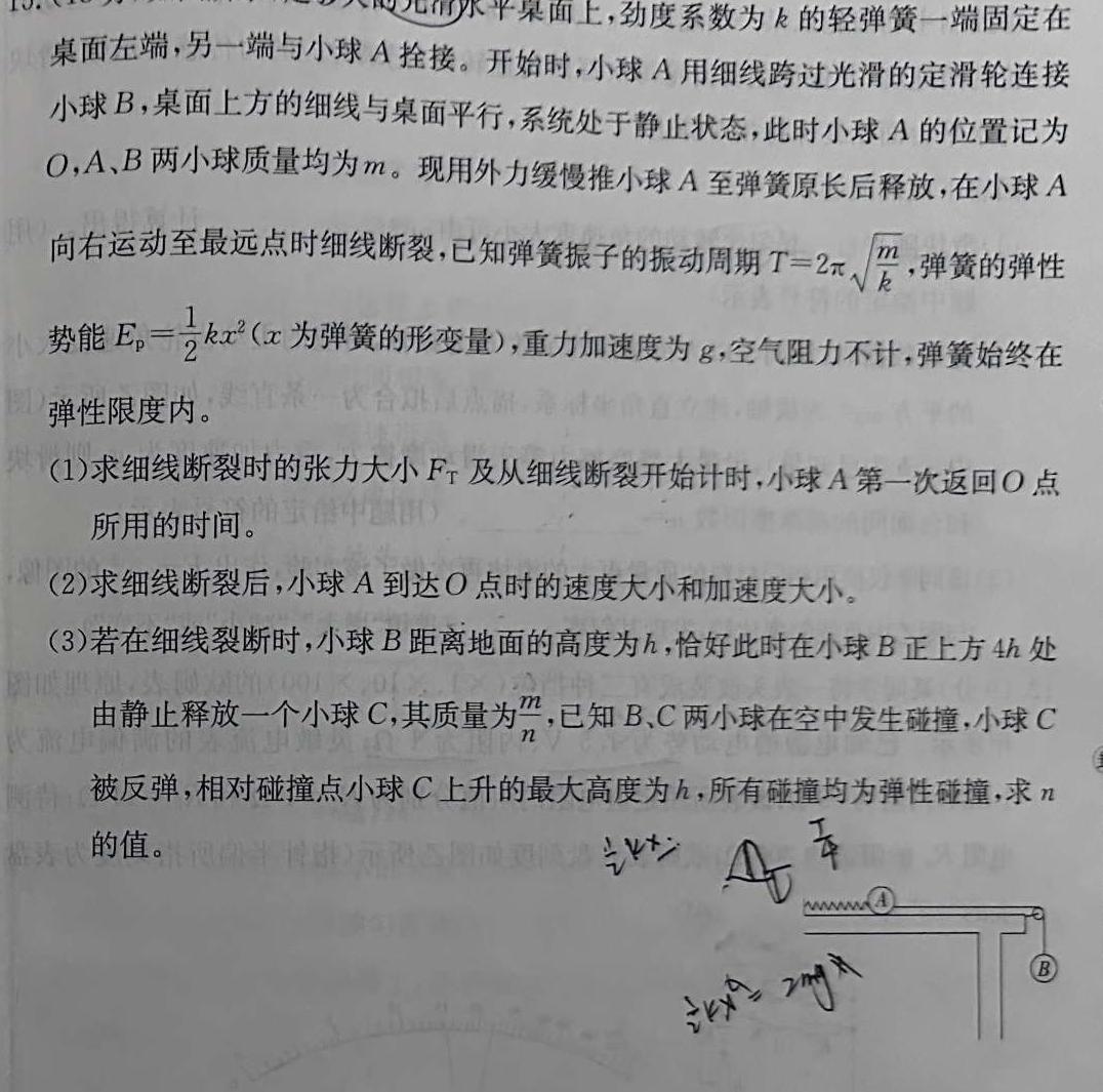 黑龙江省大庆市2025届高三年级第一次教学质量检测(物理)试卷答案