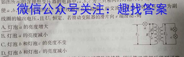 2024江西学考总复习猜想九年级模拟冲刺(二)物理`