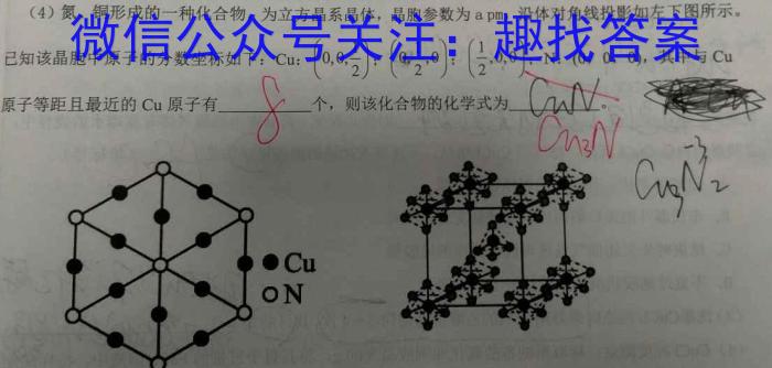 2024安徽九年级无标题(试题卷)5.30化学