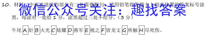 河北省2024年九年级毕业升学模拟测评语文