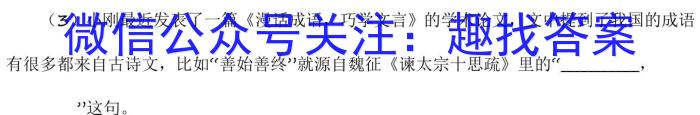 智ZH 河南省2024年中招模拟试卷(三)3语文