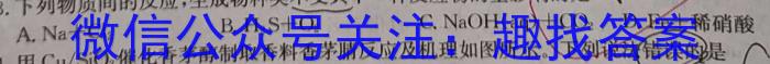 天壹名校联盟2024年普通高中学业水平选择性考试冲刺压轴卷(一)化学