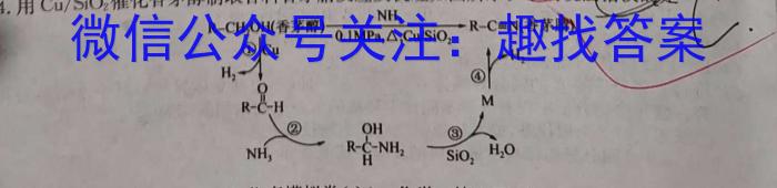 【热荐】[上饶二模]江西省上绕市2024届高三第二次高考模拟考试化学