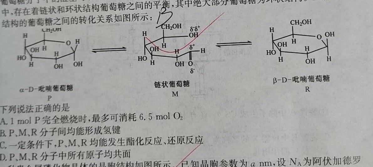 1贵州省贵阳第一中学2024届高考适应性月考卷(五)(白黑白黑黑白白)化学试卷答案