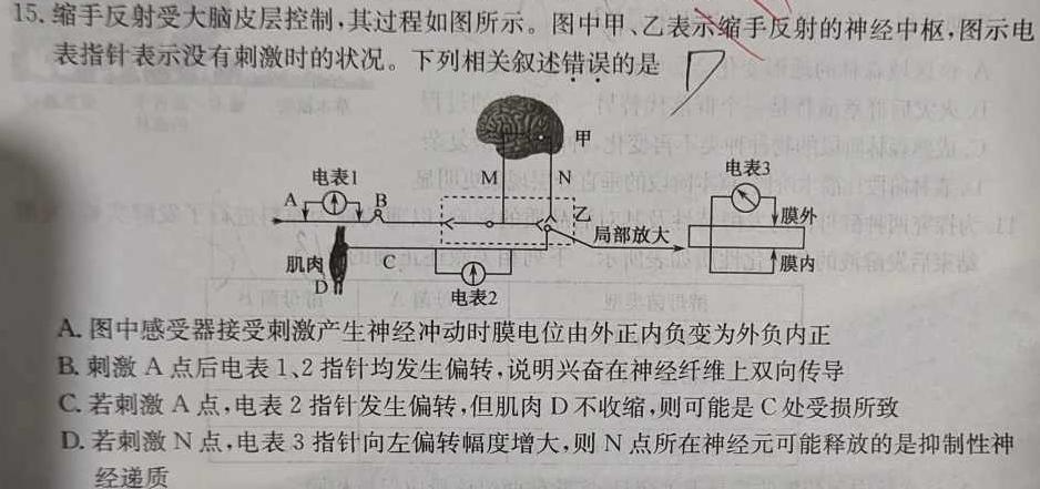 江西省广丰区全区2024年初中学业水平适应性考试(5月)生物