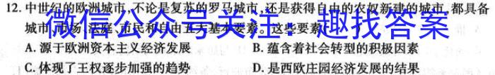 九师联盟·2024届高三3月质量检测（新教材-L）历史试卷答案