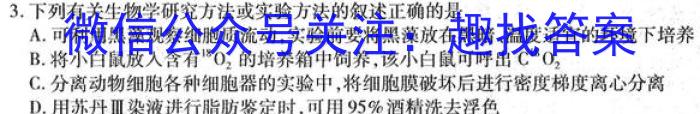 2024年陕西省初中学业水平适应性联考（二）生物