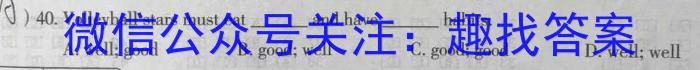 2024年河北省初中毕业生升学文化课考试模拟（十）英语试卷答案