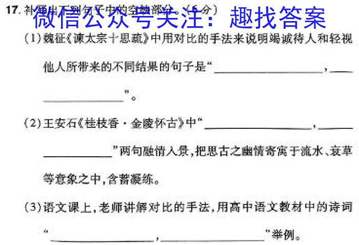 文博志鸿·2024年河北省初中毕业生升学文化课模拟考试（预测二）语文