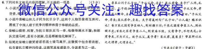 山西省2024年九年级下学期4月适应性考试（4.29）语文