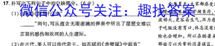 2024年陕西省初中学业水平考试信息预测卷(A)语文