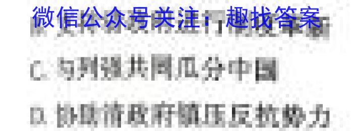 甘肃省白银市2024年九年级第一次诊断考试(24-02-RCCZ13c)历史试卷答案