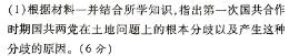 [今日更新]河北省2023-2024学年高一第二学期开学检测考试(343A)历史试卷答案