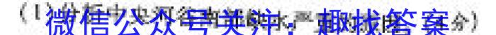 安徽省2023~2024学年度耀正优+高一年级·期末学情检测地理试卷答案