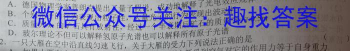 湖南省 百年世范 精准联考 2024·高考全仿真考试物理`