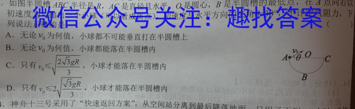 河北省沧衡名校联盟高三模拟考试(2024.4)h物理