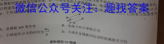 陕西省2023-2024学年度第二学期九年级第四次学科素养测试物理试卷答案