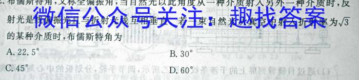 河北省2023-2024学年八年级第二学期第三次学情评估物理试题答案