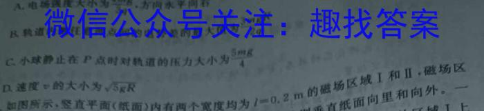 2024年河南省中招考试模拟试卷（二）物理试卷答案