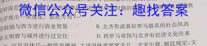 六安一中2024年春学期高二年级期末考试历史