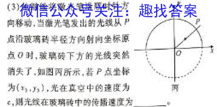 天一大联考 湖南省2024届高二7月联考物理试卷答案