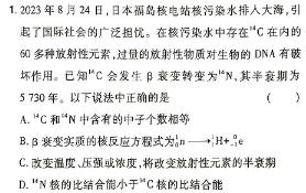 [今日更新]湖北省2024年高考冲刺模拟卷(一)1.物理试卷答案