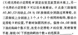 [今日更新]陕西省2024年初中学业水平考试模拟试题（三）.物理试卷答案