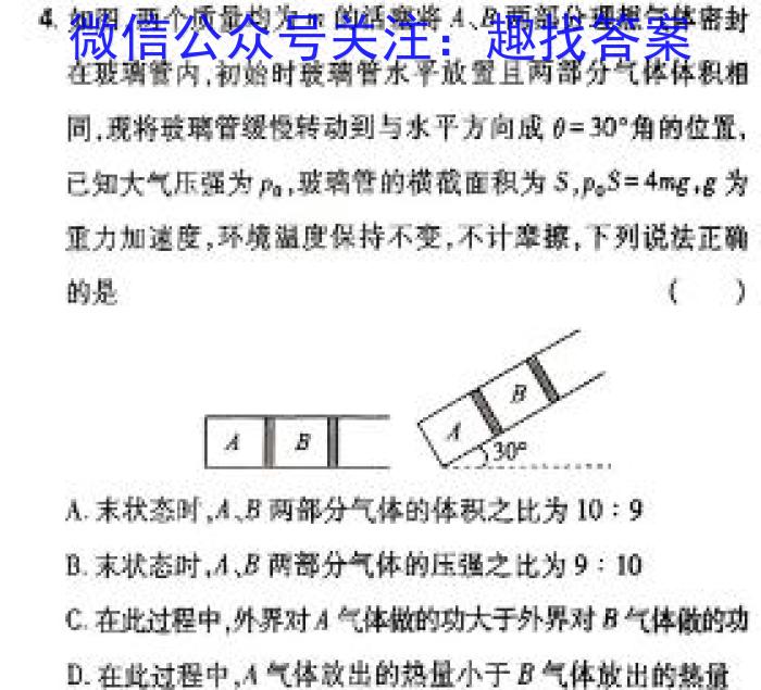 陕西省2024年九年级仿真模拟示范卷 SX(五)5物理`