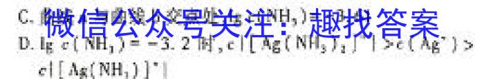 q甘肃省武威某校2023-2024学年第二学期九年级学情评估试卷化学