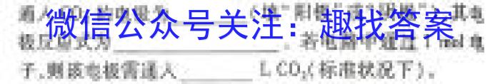 【精品】青岛市2024年高三第二次适应性检测2024.05化学