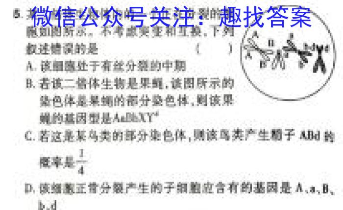 重庆市高2024届高三第九次质量检测(2024.05)生物学试题答案