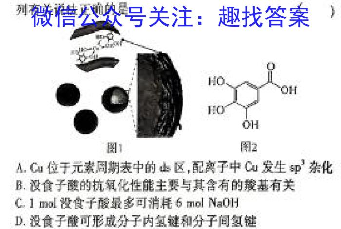 3安徽省阜阳市2023-2024学年度高三教学质量统测试卷(24-360C)化学试题