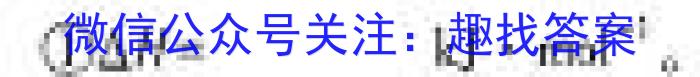 【精品】安徽省2023~2024学年度八年级教学素养测评 ✰R-AH化学