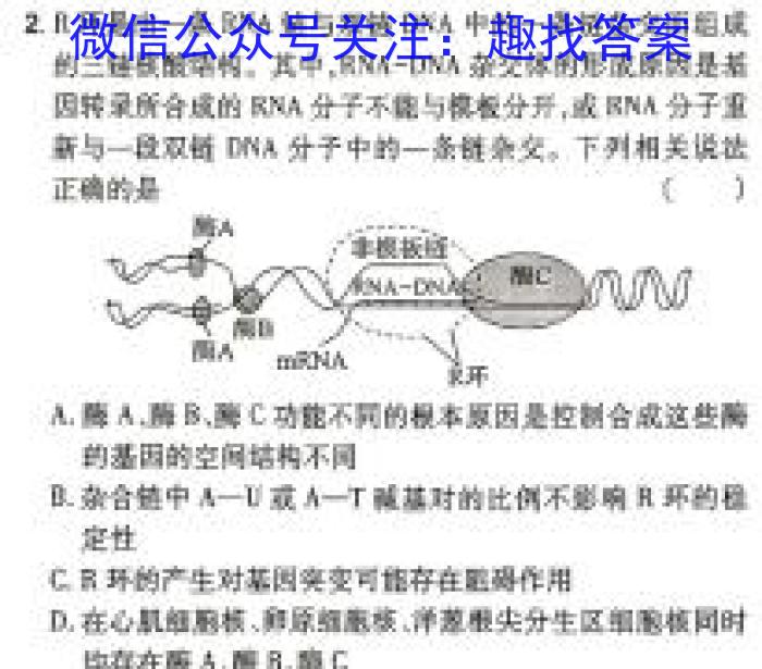 炎德英才大联考 湖南师大附中2024-2025学年度高二第一学期入学考试生物学试题答案