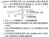 陕西省2023~2024学年度八年级期中教学素养测评(六) 6L R-SX生物