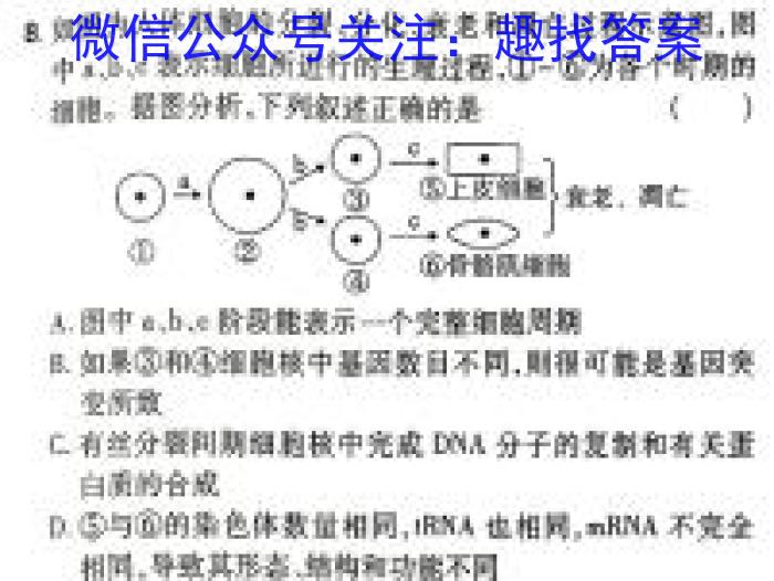 吉林地区普通高中2023-2024学年度高三第四次模拟考试生物学试题答案