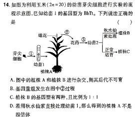 2024年安徽省名校之约第一次联考试卷生物学部分